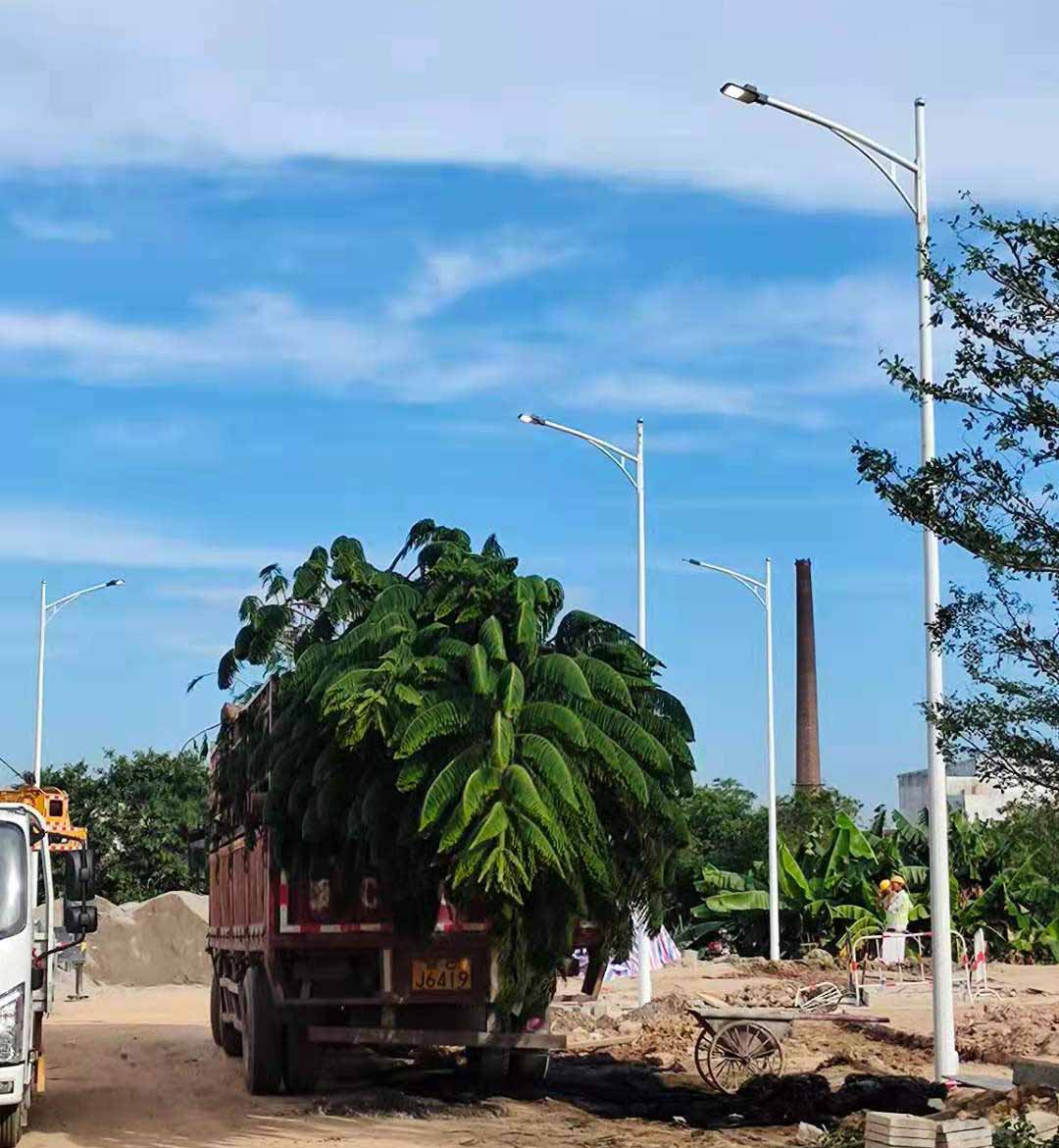 开云（中国）助力东莞洪梅万科星城道路亮化工程